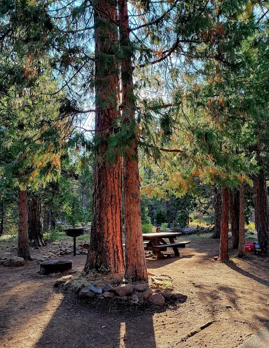 Juanita Lake Campground-Macdoel Picture 4