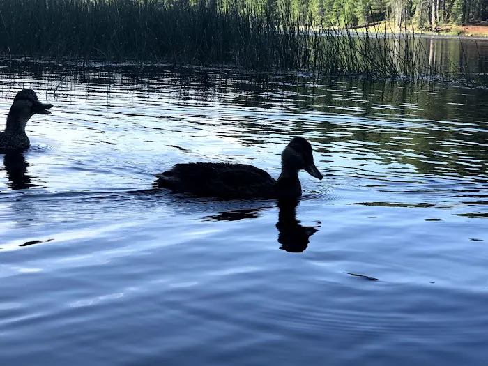 Juanita Lake Campground-Macdoel Picture 9