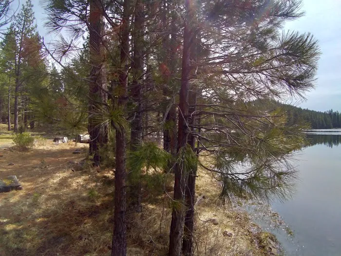 Juanita Lake Group Site Picture 3