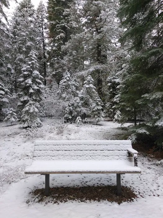 Juanita Lake Group Site Picture 5
