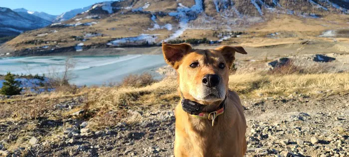 Pondera Public Park and Campground Picture 3