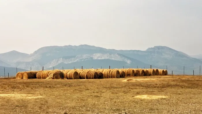 Pondera Public Park and Campground Picture 7