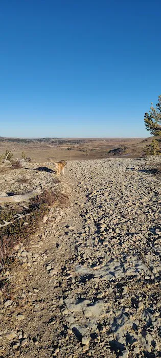 Pondera Public Park and Campground Picture 2