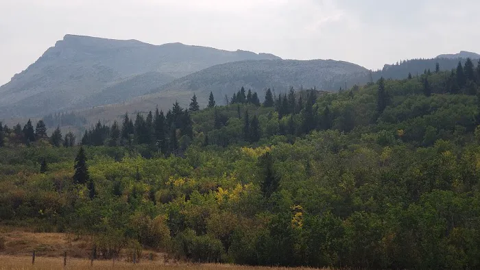 Pondera Public Park and Campground Picture 5