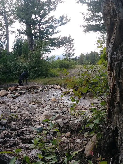 Red Eagle Campground Picture 9