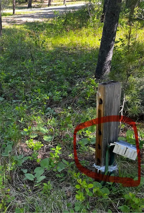 Red Eagle Campground Picture 1