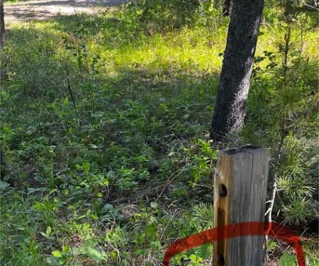 Red Eagle Campground