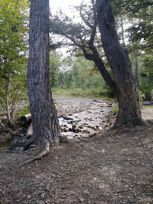 Red Eagle Campground Picture 4