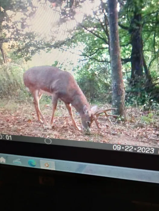 Pleasant Hill Mobile Home Park Picture 1