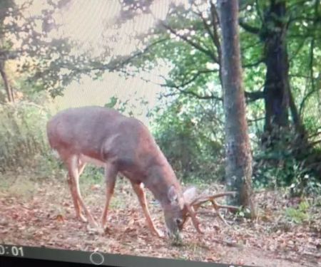 Pleasant Hill Mobile Home Park