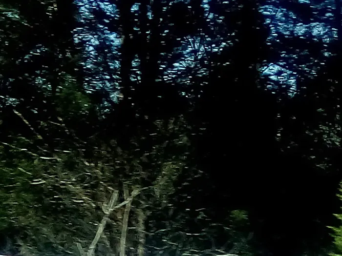 Royal Hills Village Picture 4