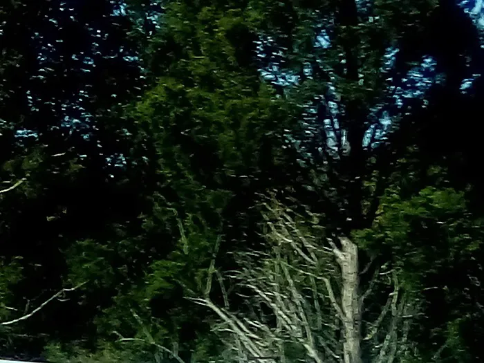 Royal Hills Village Picture 5