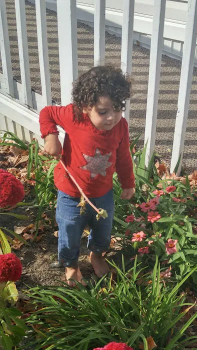 Royal Hills Village Picture 2