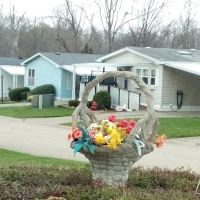 Royal Hills Village ico