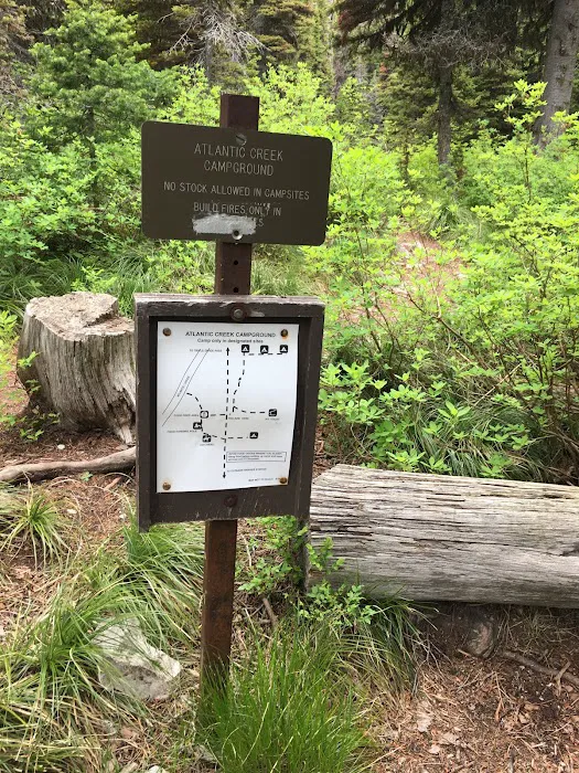 Atlantic Creek Campground Picture 1