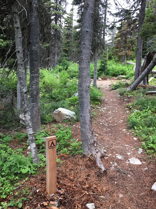 Atlantic Creek Campground Picture 2