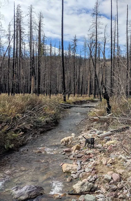 Monture Creek Campground Picture 1