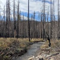 Monture Creek Campground ico