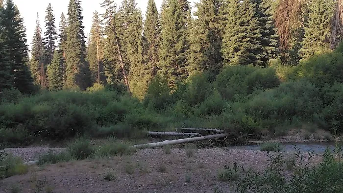 Monture Creek Campground Picture 5