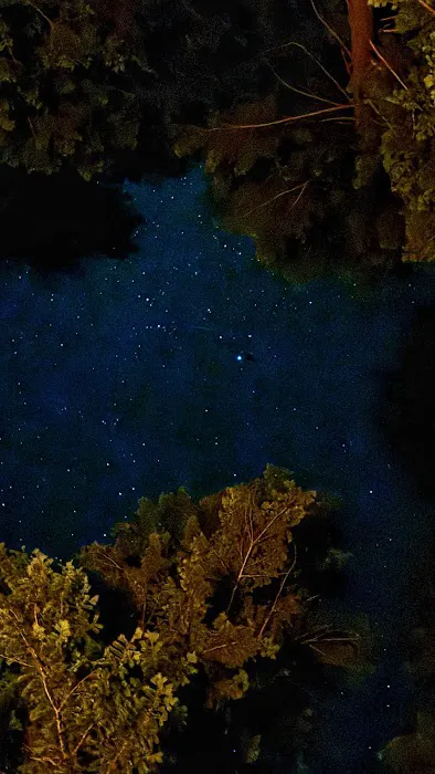 Monture Creek Campground Picture 4