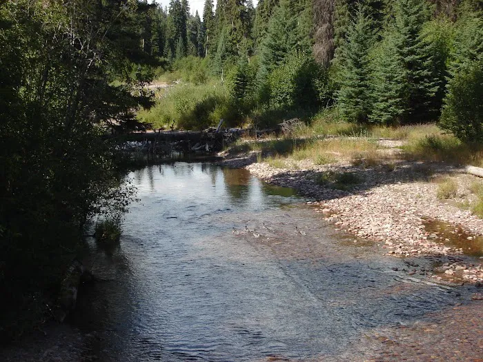 Monture Creek Campground Picture 9