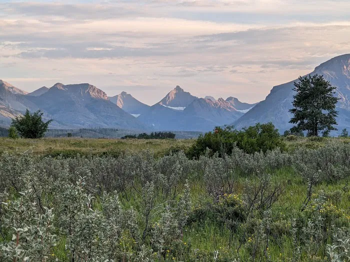 Saint Mary Campground, Glacier National Park Picture 7
