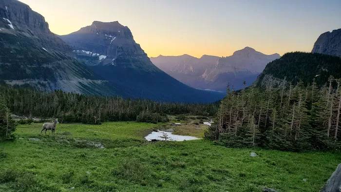 St. Mary / East Glacier KOA Holiday Picture 7