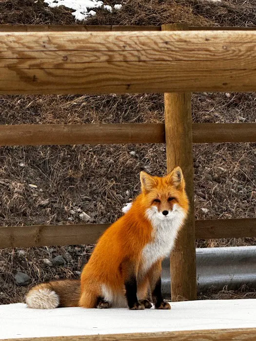 Johnson's of St. Mary Picture 2