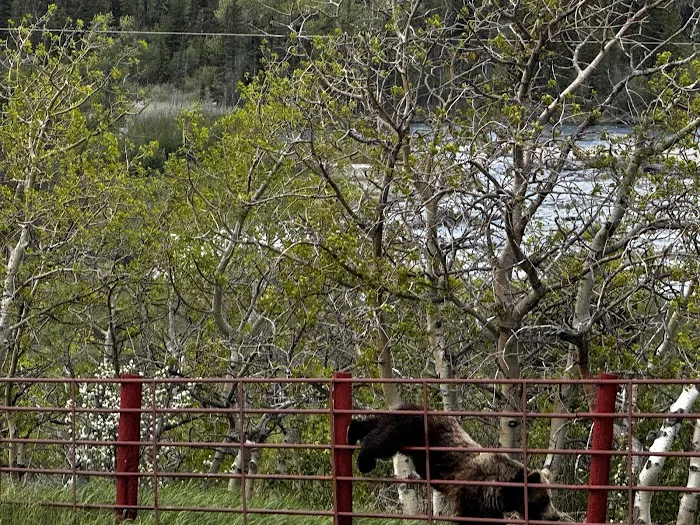 Johnson's of St. Mary Picture 6