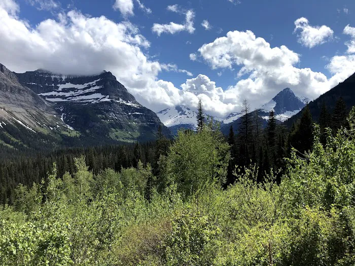 Johnson's Campground and RV Park Picture 6