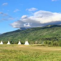 Chewing Black Bones Campground ico