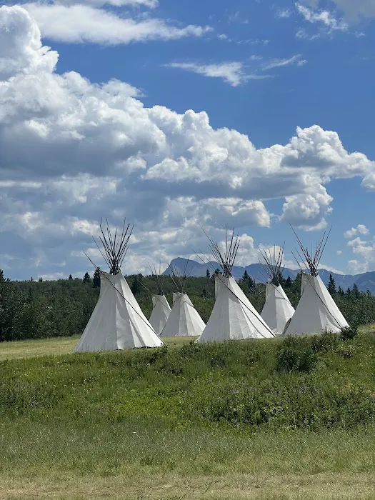 Chewing Black Bones Campground Picture 2