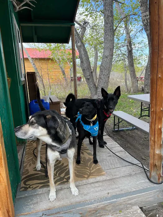 Glacier Elkhorn Cabins and Campground Picture 10