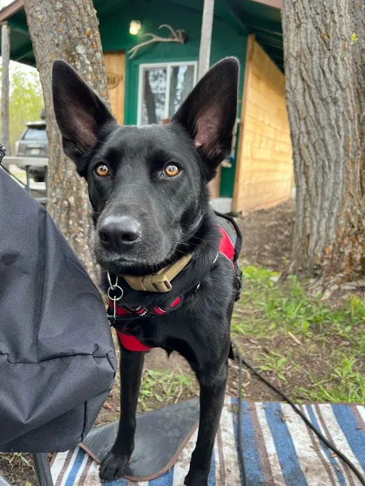 Glacier Elkhorn Cabins and Campground Picture 4
