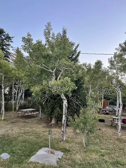 Leaning Tree Cafe and Campground Picture 9