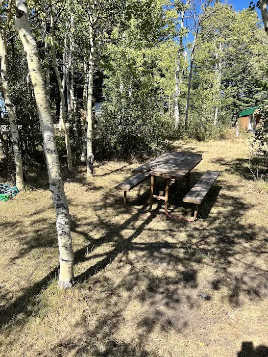 Leaning Tree Cafe and Campground Picture 2