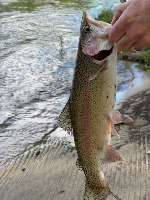 Angler's Roost RV and Campground Picture 6