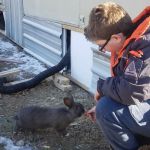 Bitterroot Valley Rv And Campground