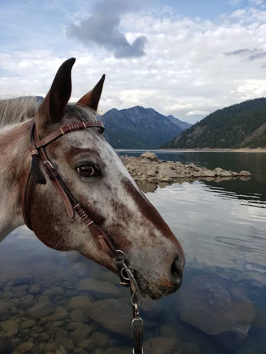 Lake Como Campground Picture 7