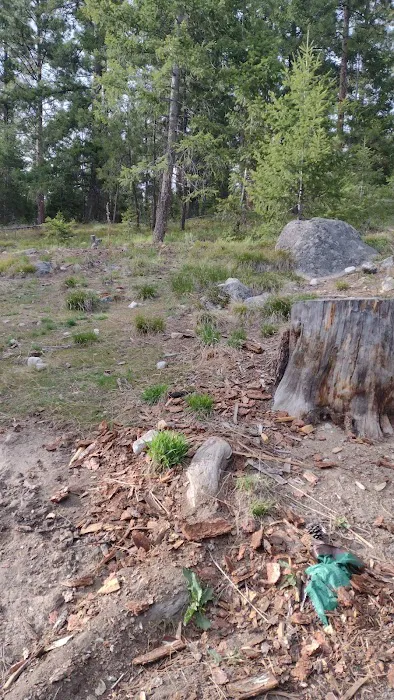 Wood's Cabin Picture 6