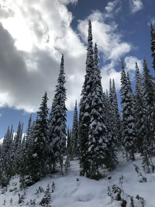 Schumaker Campground Picture 2