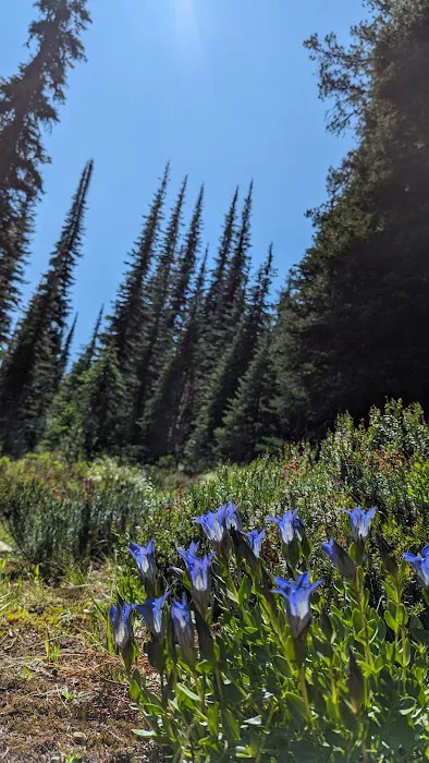 Schumaker Campground Picture 5