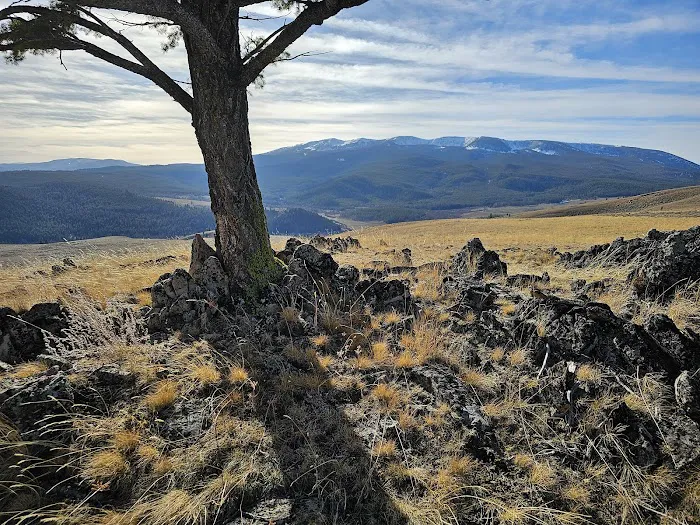 West Fork of Rock Creek Cabin Picture 6
