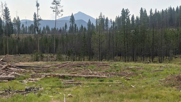 Copper Creek Campground Picture 8