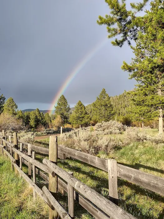 Moose Lake Cabin Picture 3