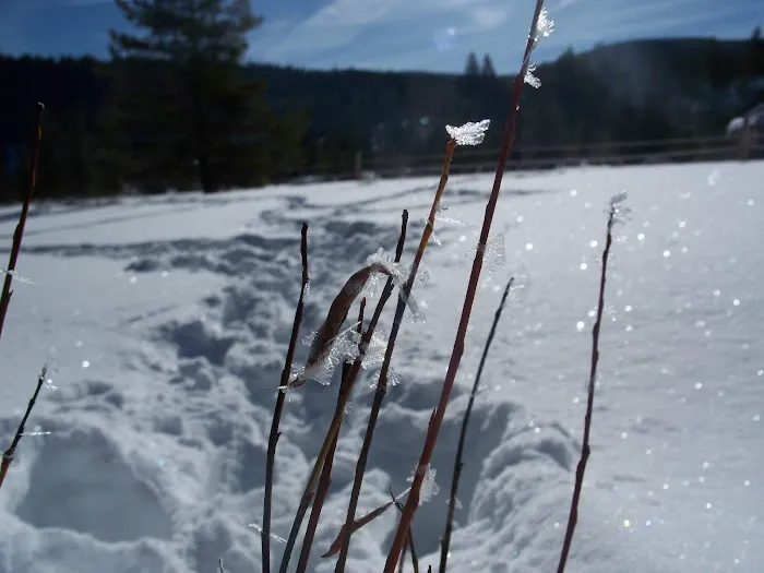 Moose Lake Cabin Picture 7
