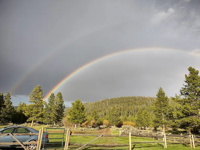 Moose Lake Cabin Picture 8