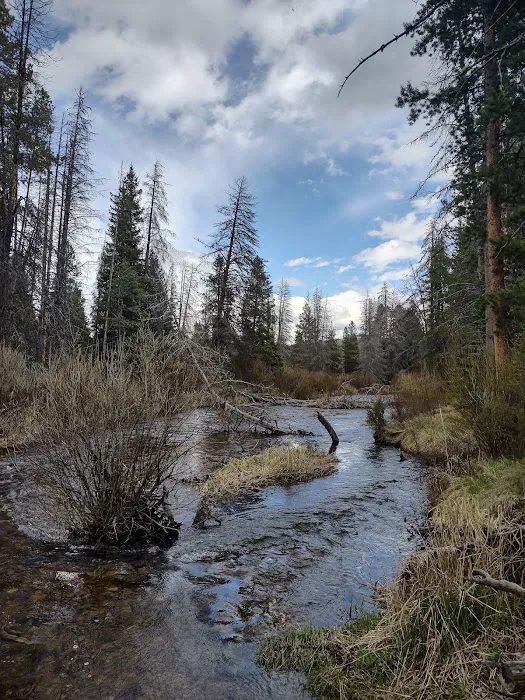 Moose Lake Cabin Picture 10
