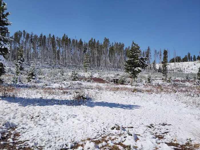 Piney Campground and Picnic Area Picture 1