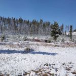 Piney Campground and Picnic Area